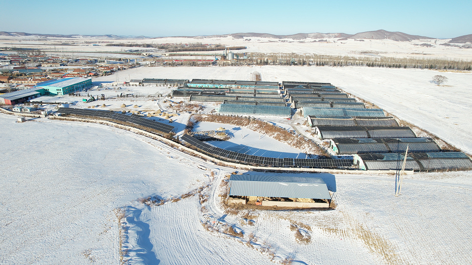 七年風雪——記一座古瑞瓦特七年老光伏電站